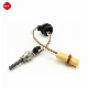  252070011100 24V Parking Heater Glow Plug for Eberspacher Airtronic D2 D4 D4s