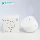 Shinelite Tuya APP Us Type Wall Plug WiFi Smart Plug