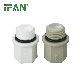 Ifan PPR/PPR-C/PVC Pipe and Fittings Factory Price PPR Plug Full Size 20-110mm for Water Supply