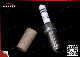  Spark Plug 06K905611c Genuine Quality Factory Manufacturers Spark Plug for Boschs Germany