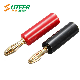  2 PCS 4mm Banana Plug Binding Post