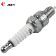  High Quality Spark Plugs Bp6reix Spark Plug for 8ar-Fts Japanese Car