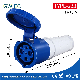  Blue Electrical Gwiec 32AMP Male Female Industrial Plug and Socket with Low Price
