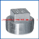 150lb Stainless Steel 304/316 Screwed Square Plug with ISO4144 & En10241 Type