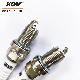  Auto Spare Parts Iridium Power Spark Plug Bkr6EIX-11 Suitable for Multiple Models