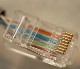  8p8c Cat5e UTP Modular RJ45 Plug