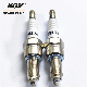  Motorcycle CPR8ea-9 Spark Plug for YAMAHA Motor Fz 16 (150cc)