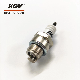 Small Engine Normal Spark Plug a-Bm7 Use on Lawn Mower