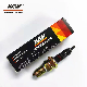Non-Resistence Motorcycle Normal Spark Plug Jw D8tc with Black Ceramic