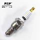  Motorcycle Spark Plug Bpr5es for Royal Enfield Uce Twin Spark Plug 350cc (Thunderbird, Classic, Bullet)