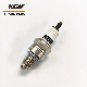 Small Engine Normal Spark Plug H-Cmr7 for Lawn Mover