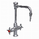 2-Way Higher Education Laboratory Water Cold Faucet/Tap