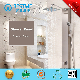  Hot Selling Three Function Wall Hung Stainless Steel Shower Panel (BF-W015)