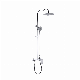  Multi-Function Rain Shower Brass Chrome Shower Set (Hz59 3601)