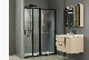  Elegant Aluminium Black Double Sliding Bathroom Shower Screen Enclosure