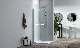  Pivot Walk-in Shower Doors with Extension Aluminum Profile