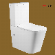  2023 Watermark CE Closestool Factory Price Luxury Multi Color Wc Bathroom Toilet