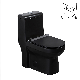  Foshan Ovs Sanitary Ware Cupc Personalized Toilet Bowl Hand Flush Black Matte Water Closet Black One Piece Toilet
