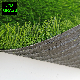 20%off Home Decoration Landscaping Synthetic Turf Sporting Football Landscape Artificial Grass