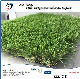 Four Color Natural Looking Synthetic Turf Fake Landscape Artificial Grass