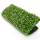 Arc Type 10500 PP Bag Football Turf 50mm Sport Grass Garden manufacturer