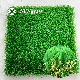  C-Shape 30mm 29 Stitches Artificial Turf Carpet Synthetic Grass Recreation Turf for Home Decoration