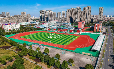 Natural Green Artificial Turf Soccer Carpet Grass Synthetic Lawn for Football Pitch