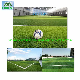 Football Soccer Factory Artificial Sports Synthetic Fake Landscaping Lawn
