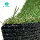  Synthetic Grass Good Drainage Courtyard Decoration PU Back Glue Artificial Lawn