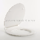  Manufacturer Direct Export Urea Soft-Close Toilet Seat, Economic, Kid Toilet Seat (Au109)