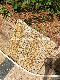  Yellow Granite G682 Paverstone for Outdoor Contruction