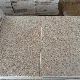  Factory Direct Low Price Flamed Finish Golden/Yellow Rusty G682 Granite Stone for Patio Pavers