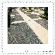 Chinese Granite Outdoor Paving Tiles for Square