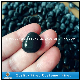 Wholesale Polished Black Pebble /Cobble Stone for Graden Stone