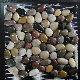 Natural Colorful Cobble River Stone Pebble for Garden Decoration/Landscaping Tile