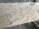 Shiva Golden Granite Granite Countertops Tiles manufacturer
