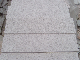 China Building Material Cut to Size Pearl White Granite Tiles for Floor/Countertop