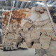 Natural Stone Patagonia Quartzite Slabs Tiles for Floor Countertop manufacturer