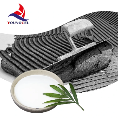 Redispersible Latex Powder Additive Used in Concrete Industry of Construction Industry (RDP) Chemicals