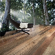 Spotted Gum Solid Hardwood Flooring/Timber Flooring/Wood Flooring manufacturer