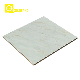 Quality Ceramic External Building Cladding Material Waterproof Tile Wall