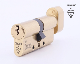 Bsi Kitemarked One Star Rating Euro Profile Brass Lock Cylinder