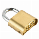  Waterproof Combination Codes Chain Globe Padlock 4 Digital Password Padlock
