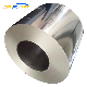  AISI/ASTM Hot/Cold Rolled 316L/310/314/318/304 Stainless Steel Coil/Strip/Roll Rustproof Surface No. 2b/No. 1