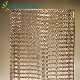  Tecture Special Decorative Wired Laminated Glass