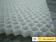 13mm PP Honeycomb Panel