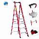 Factory Price Sell Top Quality Fiberglass Platform Ladders/Fiberglass Ladder