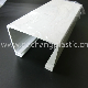 Custom White Plastic Extrusion Profile