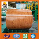 Color/PE/Wood Coated Aluminum Coil 1100/1060/3003/3105/3104/3005