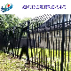 Affordable Durable Ornamental Fencing Steel Rackable Fence Panel Versai Residential/Commercial/Industrial Grade Security Fence with 10years Warranty